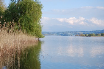 photo5