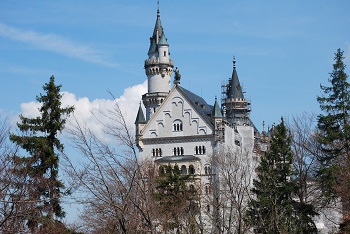 photo8