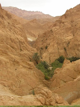 photo10