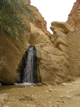 photo11