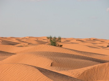 photo46