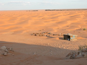 photo48