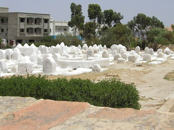 photo5